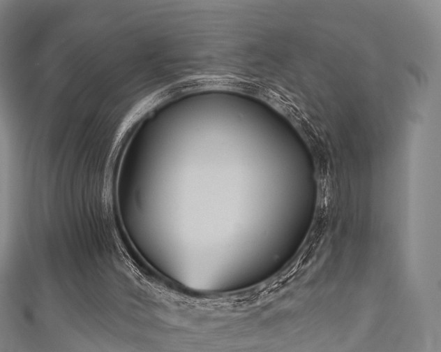 X0000111590004200907231224