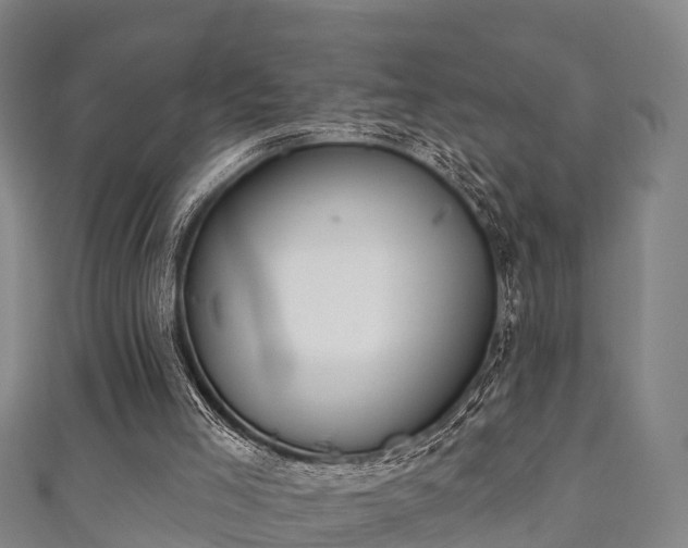 X0000111590005200907231224