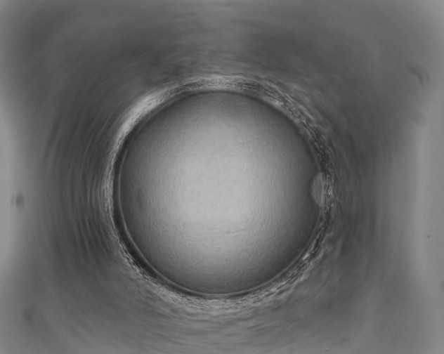 X0000111590006200907231224