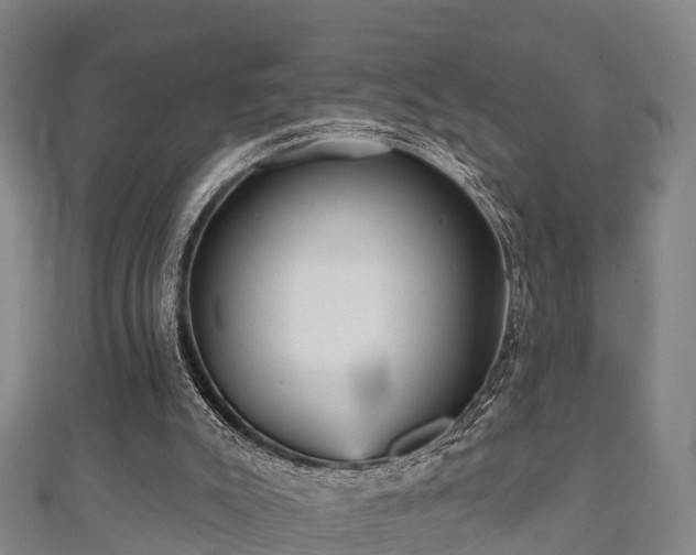 X0000111590007200907231224