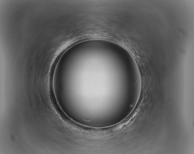 X0000111590008200907231224