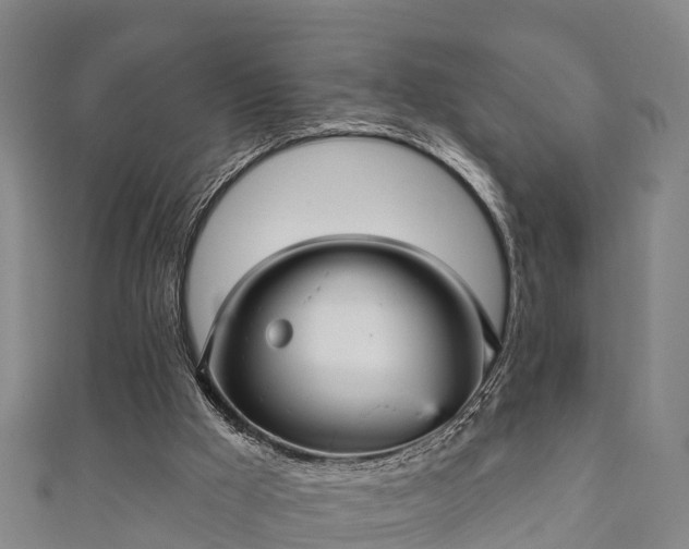 X0000111590009200907231224