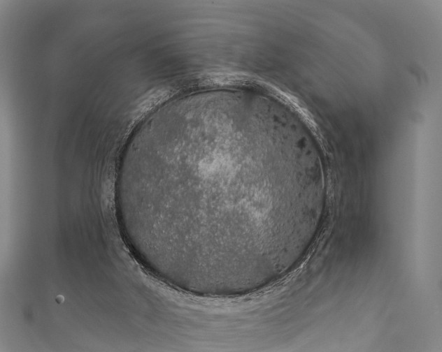 X0000111590010200907231224