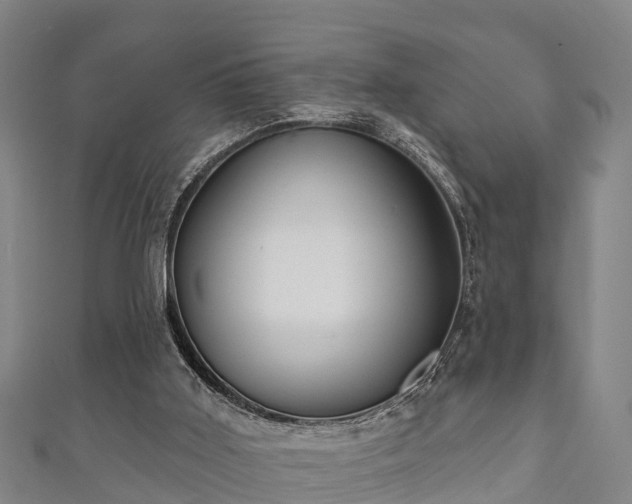 X0000111590011200907231224