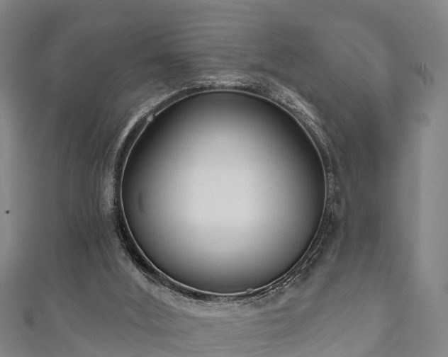 X0000111590012200907231224