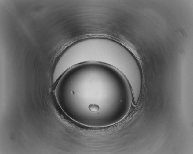 X0000111590013200907231224