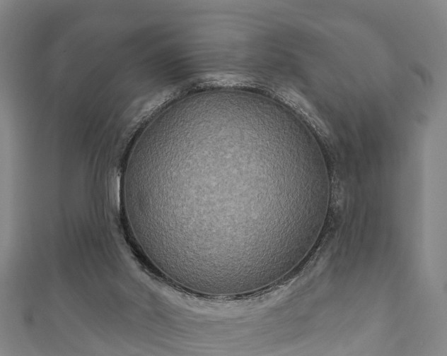 X0000111590014200907231224