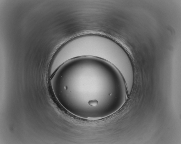 X0000111590015200907231224