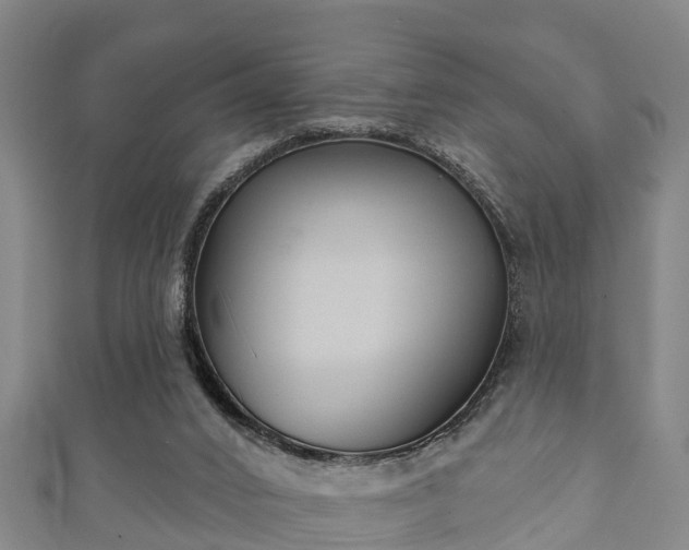 X0000111590016200907231224