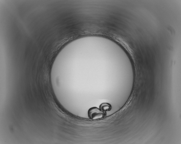 X0000111590017200907231224