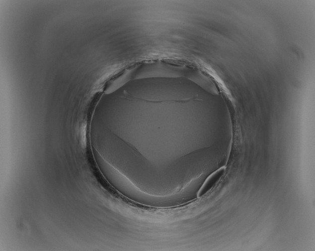 X0000111590019200907231224