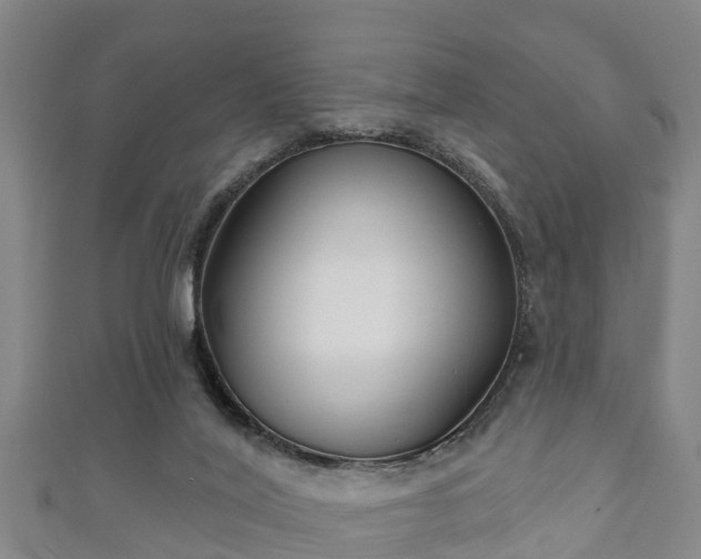 X0000111590020200907231224