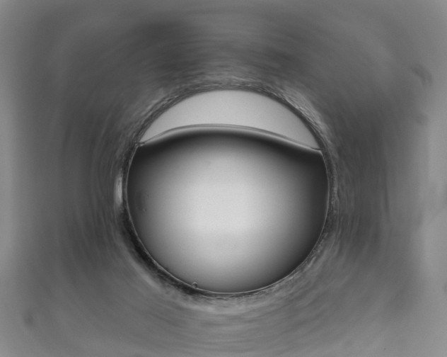 X0000111590021200907231224