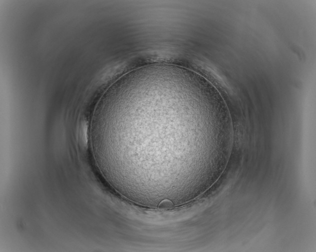 X0000111590022200907231224