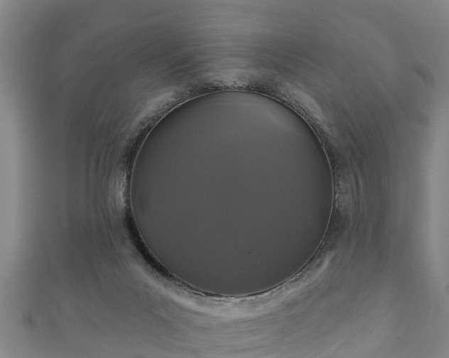 X0000111590023200907231224