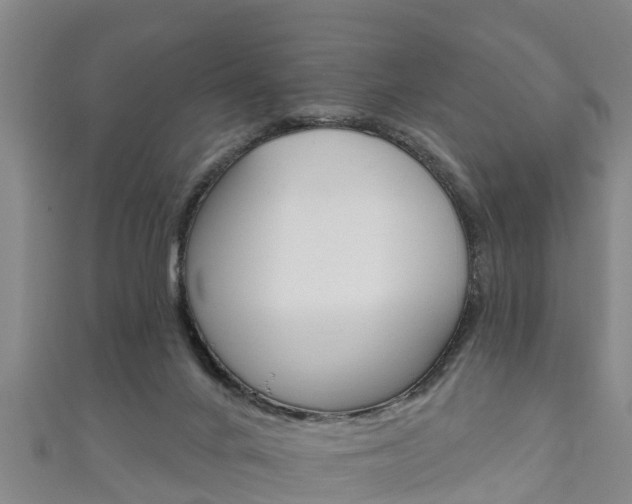 X0000111590024200907231224