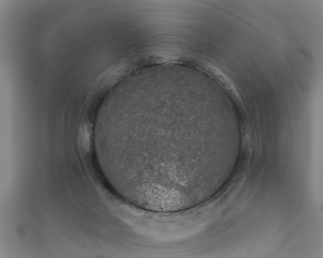 X0000111590026200907231224