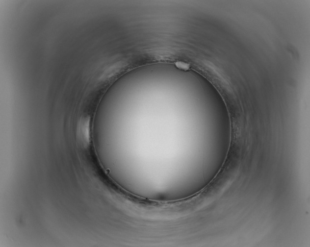 X0000111590028200907231224