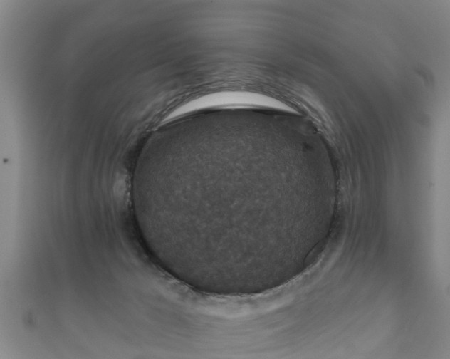 X0000111590029200907231224