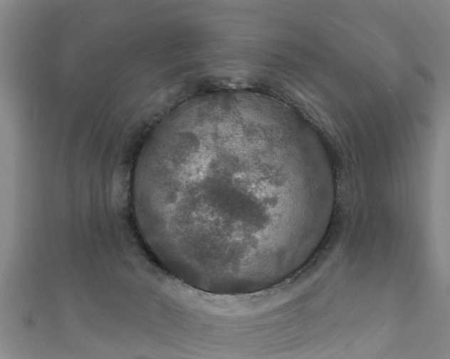 X0000111590030200907231224