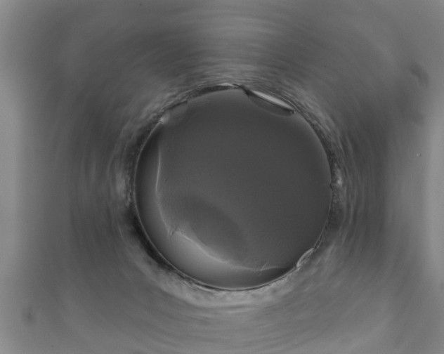 X0000111590031200907231224