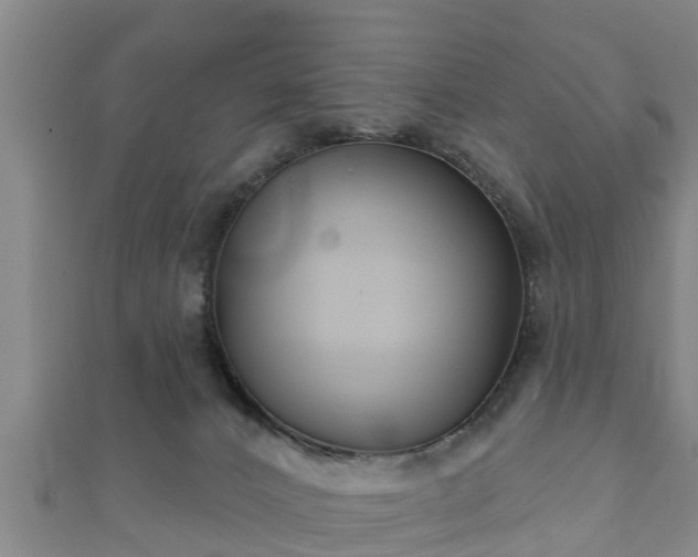 X0000111590032200907231224