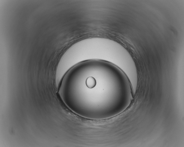 X0000111590033200907231224