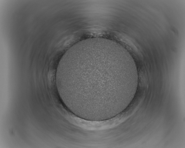 X0000111590034200907231224