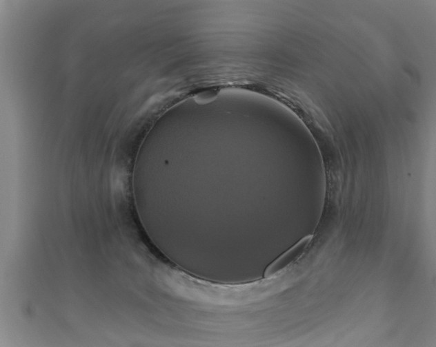 X0000111590035200907231224