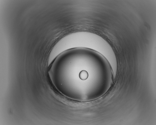 X0000111590036200907231224