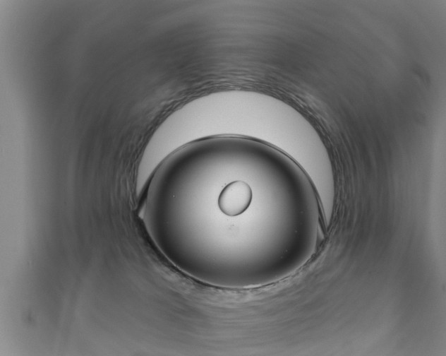 X0000111590037200907231224