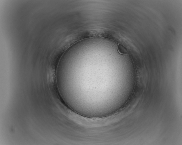 X0000111590038200907231224