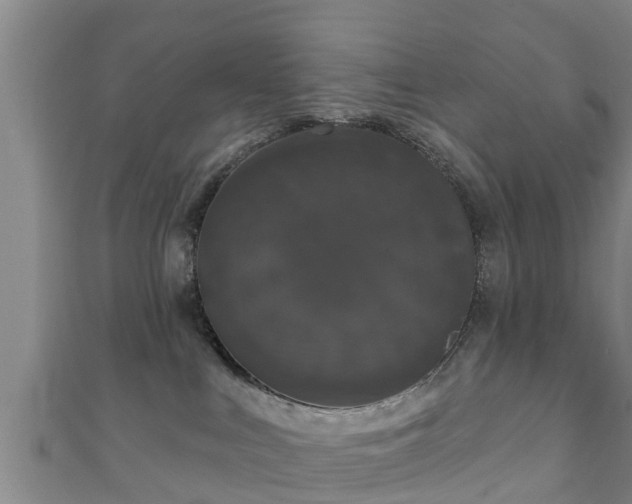 X0000111590043200907231223