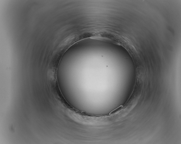 X0000111590044200907231223