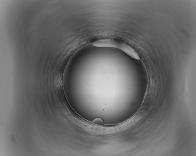 X0000111590048200907231223