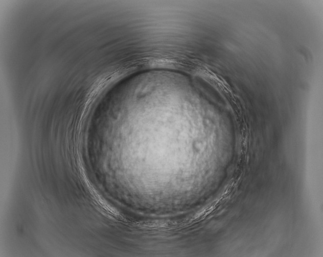 X0000111590049200907231223