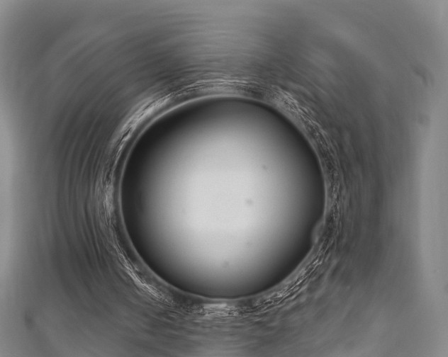 X0000111590050200907231223