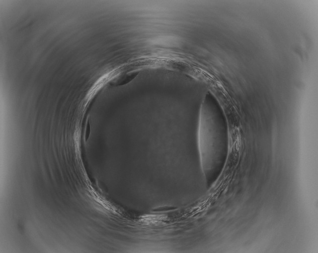 X0000111590051200907231223