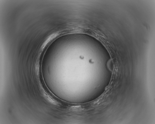 X0000111590054200907231223