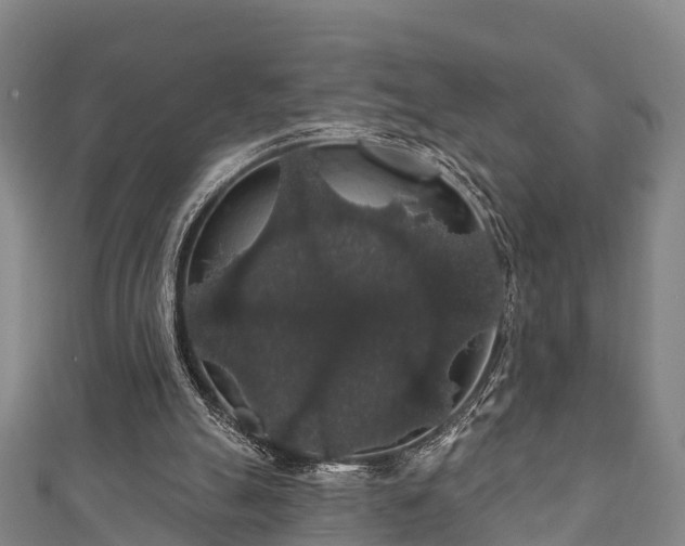 X0000111590055200907231223