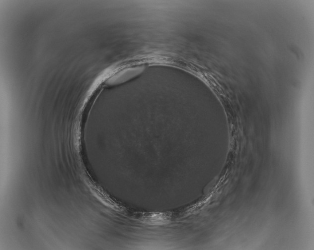 X0000111590056200907231223