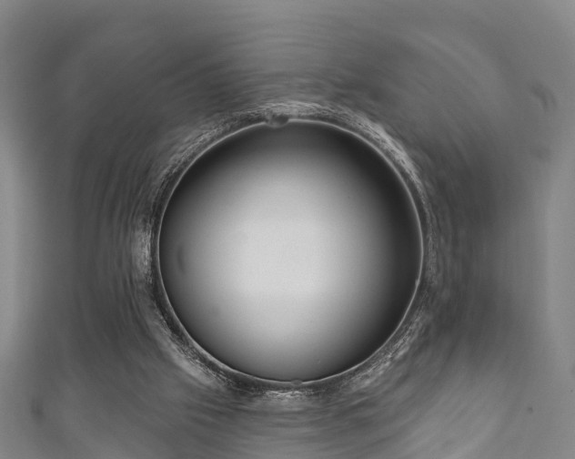 X0000111590057200907231223