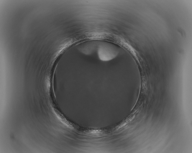 X0000111590059200907231223