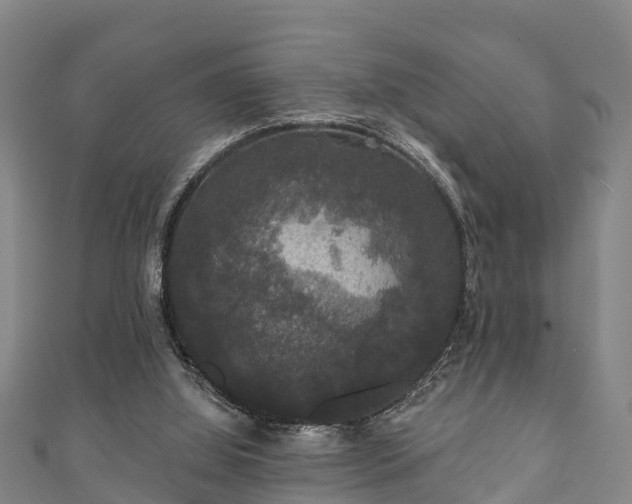 X0000111590060200907231223