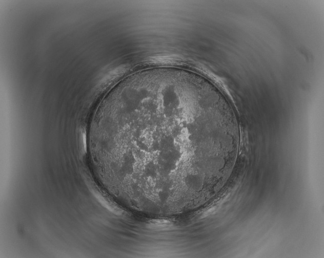 X0000111590061200907231223