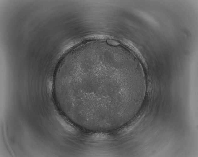 X0000111590063200907231223