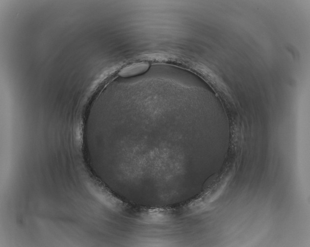 X0000111590064200907231223