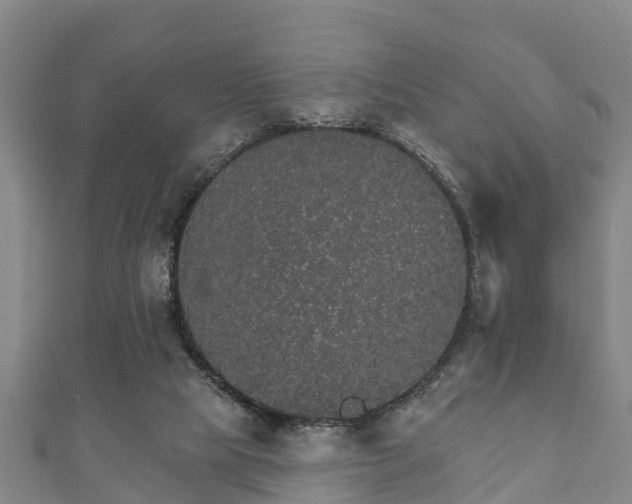 X0000111590065200907231223