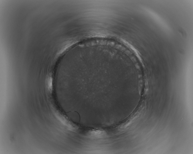 X0000111590067200907231223