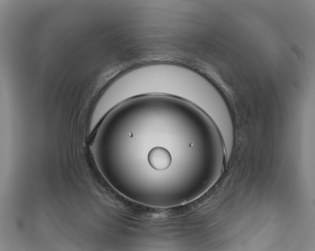 X0000111590068200907231223